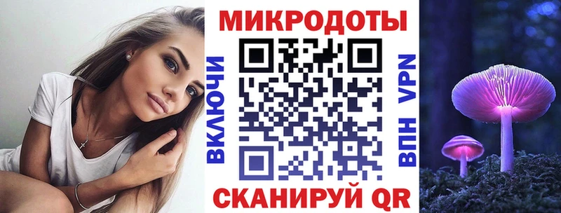 Галлюциногенные грибы Psilocybine cubensis Злынка